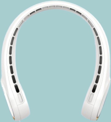 FrSara features